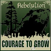 Rebelution — Safe And Sound — обложка